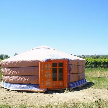 Yurta Cloe *