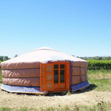 Yurta Cloe *