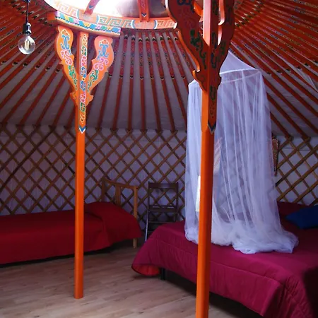 Yurta Cloe *