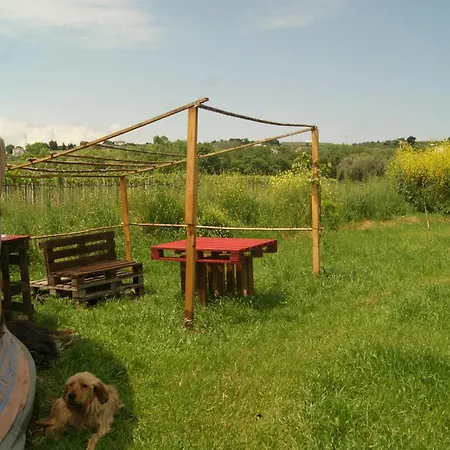 Yurta Cloe *